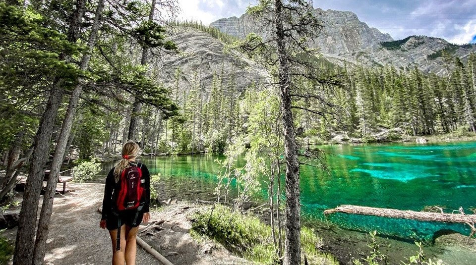Explore Alberta's Majestic Landscapes: Top 10 Hikes