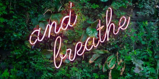 Nature's Therapy: How the Great Outdoors Can Improve Your Mental Wellness