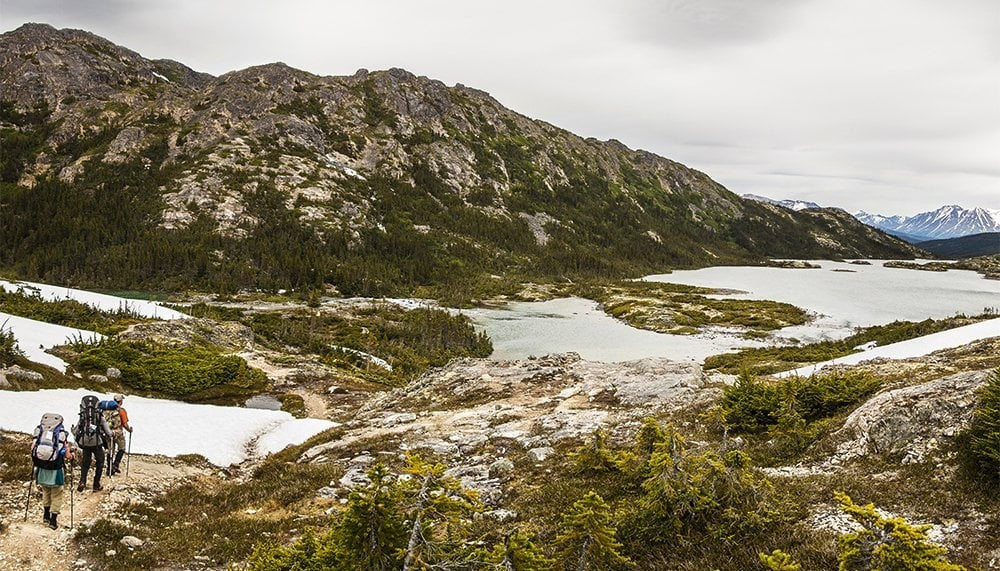 Explore the Yukon's Wild Frontiers: Top 10 Hikes