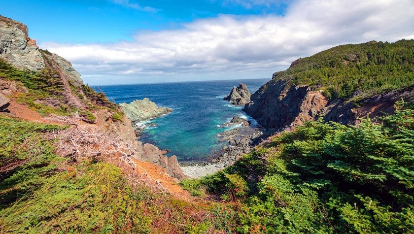 Discover Newfoundland and Labrador's Rugged Beauty: Top 10 Hikes