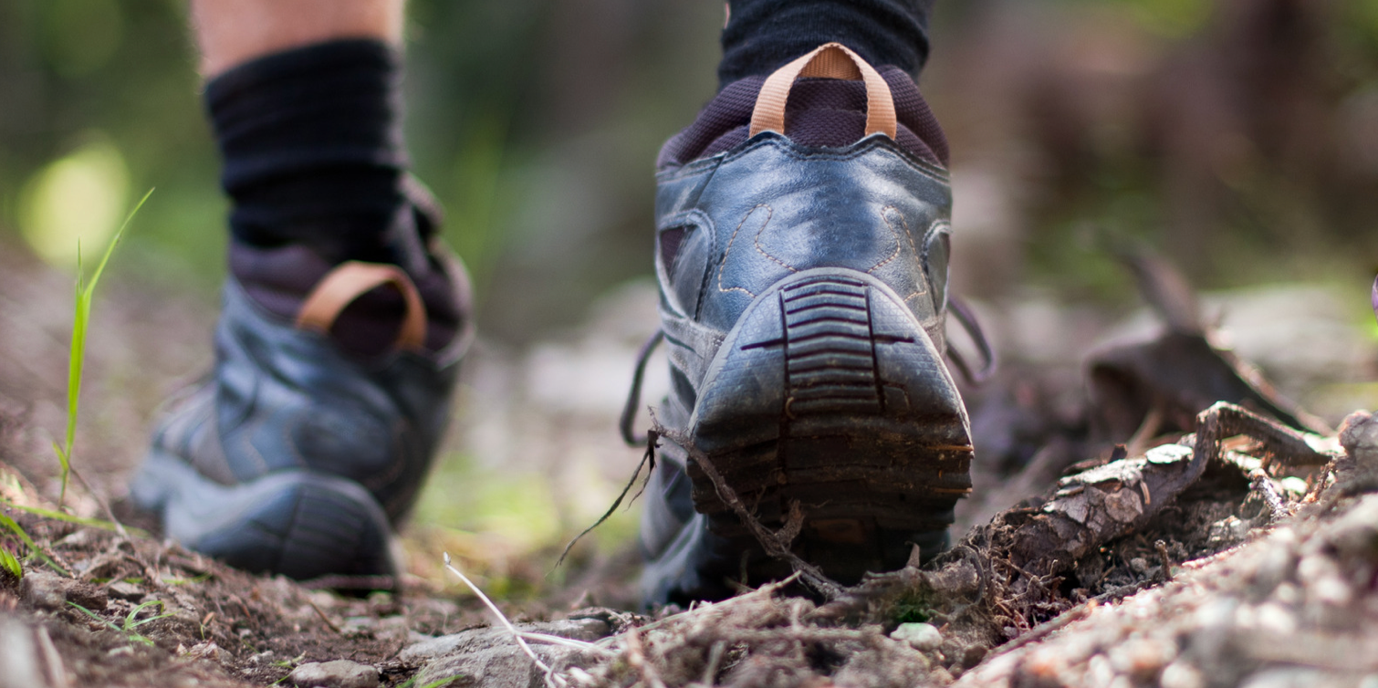 hiking socks