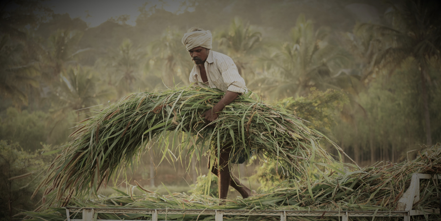 Northbound Gear Supports India’s Farmers and Fair Trade Worldwide