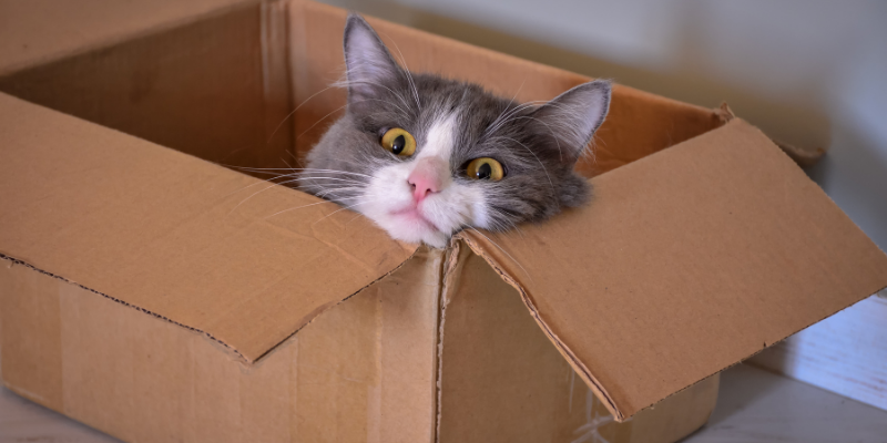 box reused
