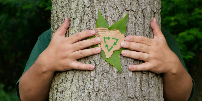How To Practice Leave No Trace Principles in Your Everyday Life