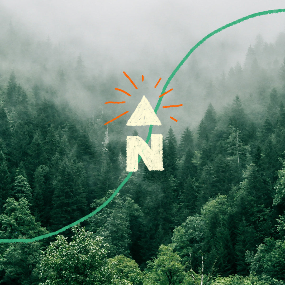 NBG N Logo Banner