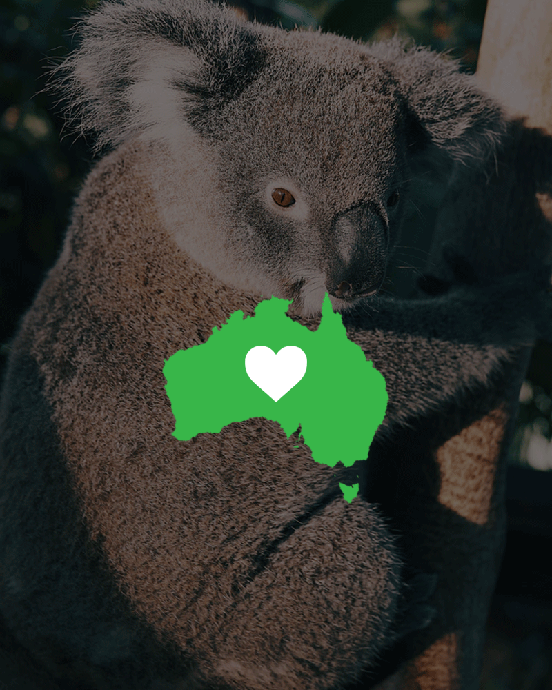 Northbound Gear Supports Australian Bushfire Relief Fund - Northbound Gear